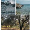 Insider Trip Calabria: August 2026 - Image 14