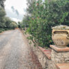 Insider Trip Calabria: August 2026 - Image 5