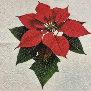 Poinsettia Tablecloth & 12-Napkin Set
